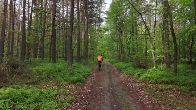 Mountain bike rider descending forest trail surrounded by trees
