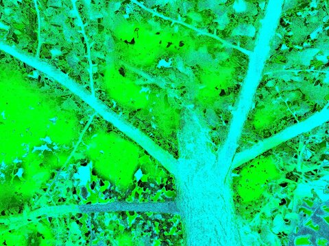 Solarized Neon Green and Teal Abstract Glitch Background
