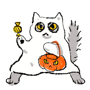Halloween Cat Ghost Costume