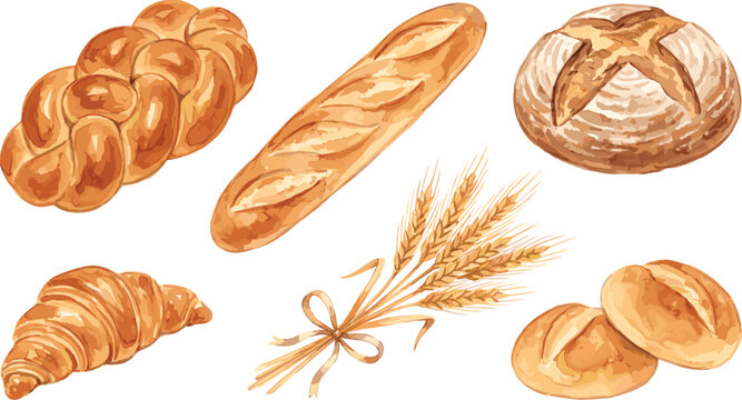 Watercolor bakery set with challah bread baguette sourdough loaf croissant and wheat ears isolated on white background