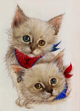 hand drawing water color painting of twin kitten, gemini kitten, illustration for interior decoration, background, apparel. water color drawing on canson paper.
