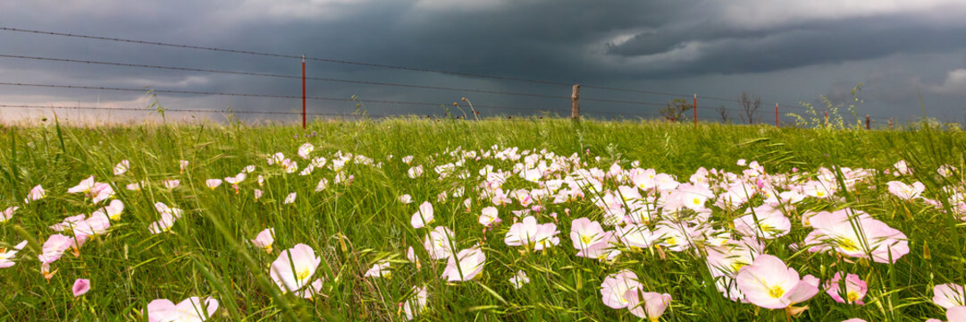 Impacts of Climate Change. El Ni&ntilde;o, the environment, rising global temperatures. Pollution and devastating storms featuring tornadoes and strong winds. Uncontrolled weather. Web banner, copy space.