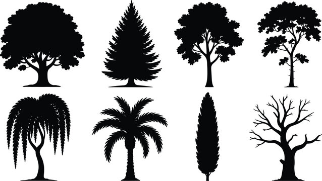 Black silhouettes of diverse trees including palm, willow, cypress, conifer, leafless branches, and broad‑leaved forest shapes vector illustration