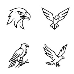 Fototapeta premium Birds of prey in various poses.