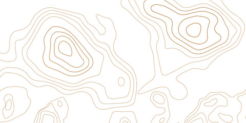 Abstract white topographic map contour lines pattern with topography abstract background geography elevation cartography navigation geometric stylized © MD