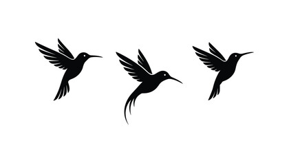 Fototapeta premium Trio of black hummingbird silhouettes depicted in various graceful flying postures with slender beaks and elegant outstretched wings.