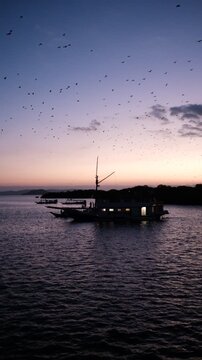Flying Fox Bats Swarm Over Kalong Island During Golden Sunset in Komodo National Park