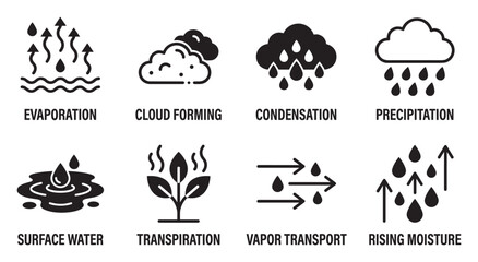 Fototapeta na wymiar Water cycle process icons with clear labels for evaporation and precipitation.
