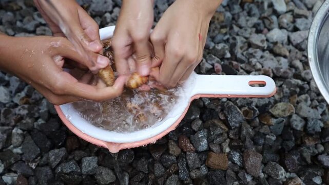 Hands washing fresh turmeric roots as part of the traditional Indonesian kunir asem jamu preparation process, highlighting natural ingredients and herbal drink production.
