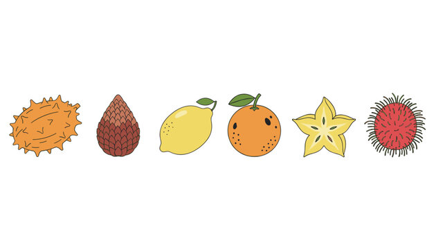 Colorful set of exotic tropical fruits including dragon fruit, snake fruit, lemon, orange, starfruit, and rambutan for healthy diet.