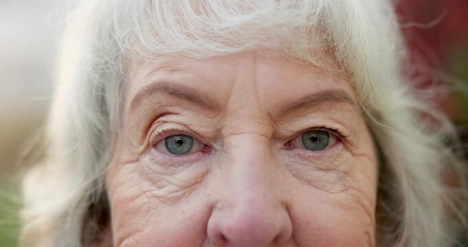 Wellness, eyes and face of senior woman with optometry, optical and glaucoma test for health. Serious, portrait and elderly person in retirement with weak eyesight, prescription or cataract removal.