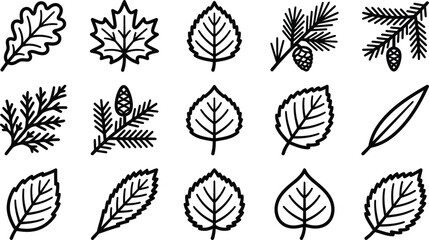 Set of various hand drawn forest tree leaves and coniferous branches isolated on a white background for design © sharmin