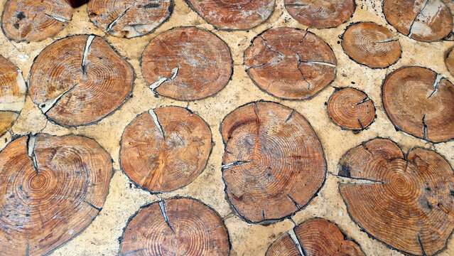 A top-down view of a rustic floor or pathway paved with round wood log slices embedded in grout, showing distinct tree rings and grain textures.