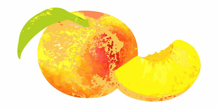 Peach with a bite taken out watercolor style illustration