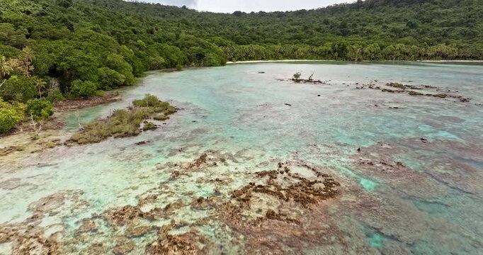 Pristine Tegua island coastline in Torres Islands, Vanuatu, lush green jungle meeting vibrant turquoise water over shallow coral reef. Wild nature landscape. Travel destination Aerial view drone shot