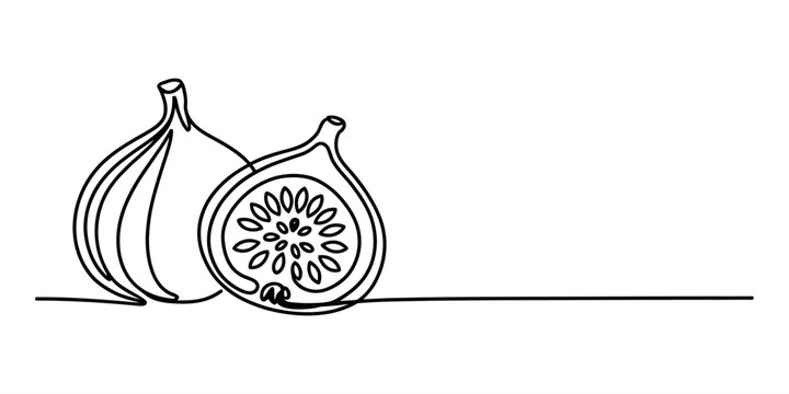 Continuous single line drawing of two fresh fig fruits one whole and one cut in half showing seeds in a minimalist artistic style for food design