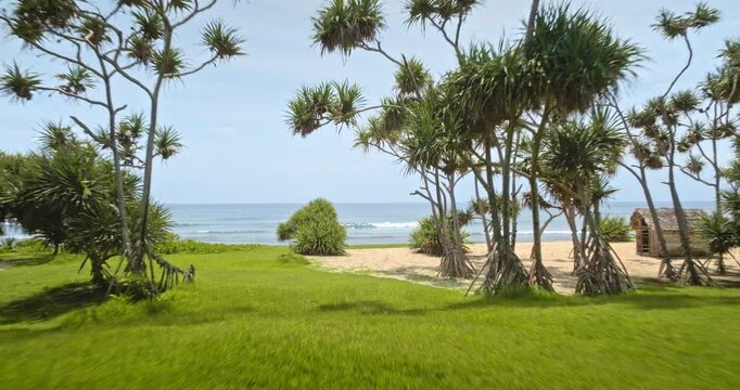 Tropical bungalows with traditional thatch roofs standing on lush green lawn, white sand beach and calm blue ocean at Port Resolution on Tanna Island, Vanuatu. Remote travel destination. Drone flight