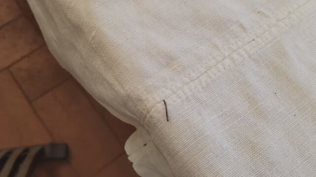 Small caterpillar on a tablecloth