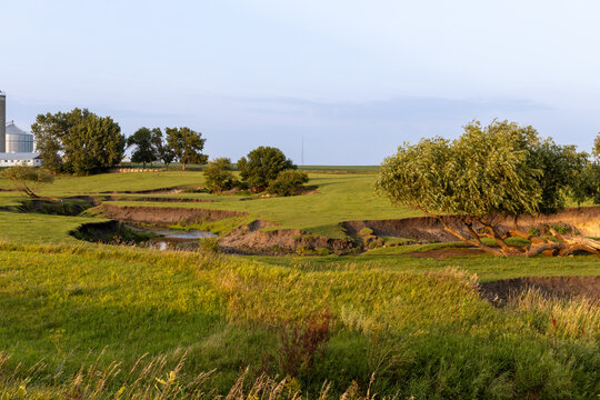 Idyllic pasture landscape, with a meandering river flowing around rustic willow trees at sunset or sunrise
