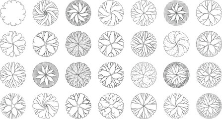 Abstract Circular Tree Ring Cross Section Collection with Hand Drawn Botanical Line Art Set © Vector World