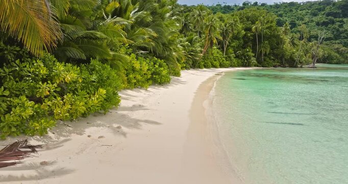 White sand beach bordering crystal clear turquoise water with lush palm trees and tropical foliage creating an idyllic and secluded island getaway paradise. Tegua island, Vanuatu Travel destination