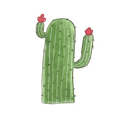 Cactus-Desert Plant Illustration 