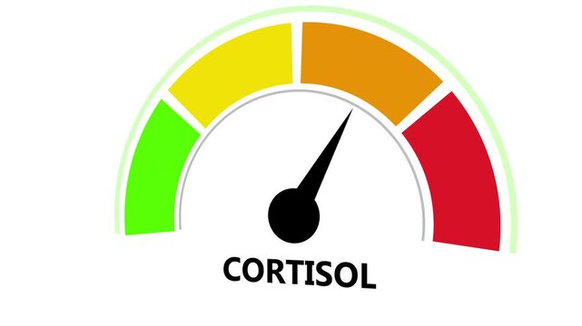 Animated cortisol level gauge meter indicating rising stress and hormonal imbalance with dynamic needle movement for medical health awareness, wellness education, and scientific research presentations