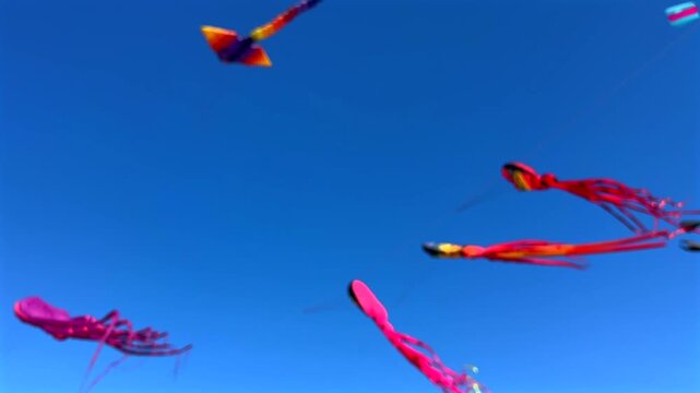 Colorful kites resembling jellyfish float gracefully in the clear blue sky, adding joy to the outdoor festival atmosphere. Playful kite flying concept