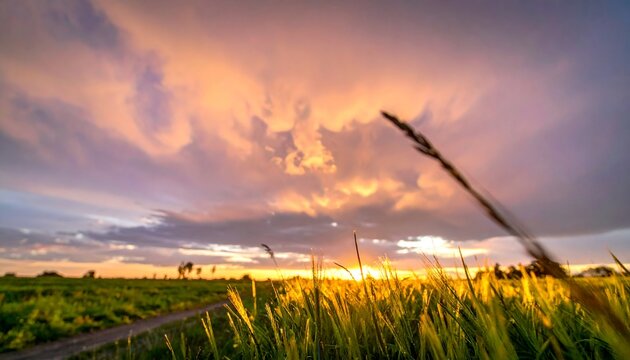 Sunrise Sparks Over Wide Open Field