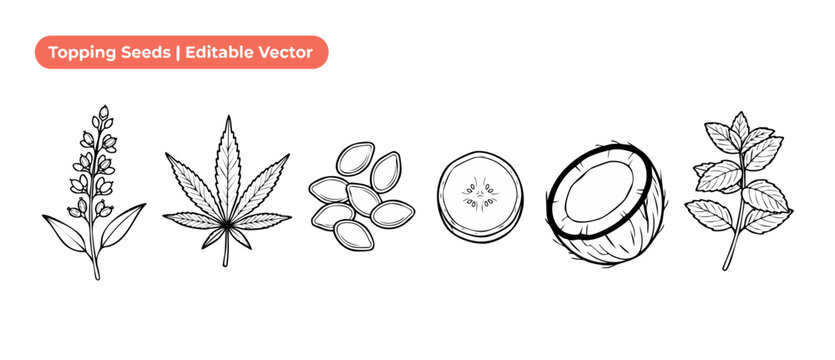 Topping seeds vector line art set of healthy food ingredients, including cannabis leaf, pumpkin seeds, coconut, mint, cucumber slice for organic culinary design. Black and white botanical drawings.