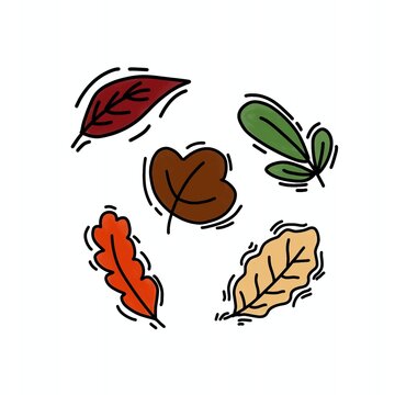 A versatile seasonal graphic suitable for autumn-themed web design or social media assets.