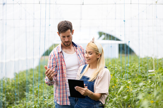 Young couple managing crops with digital agriculture technology. Monitoring plant growth and data on a tablet device