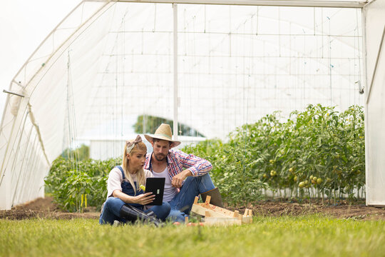 Young farmers sitting on grass, monitoring crops and planning future harvest with a digital tablet in a polytunnel