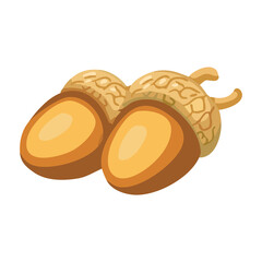 Acorns Autumn Nature Seasonal Illustration © nikagraphic