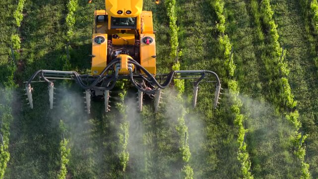 Aerial view of a yellow tractor spraying a vineyard in Targon, Nouvelle-Aquitaine, France.