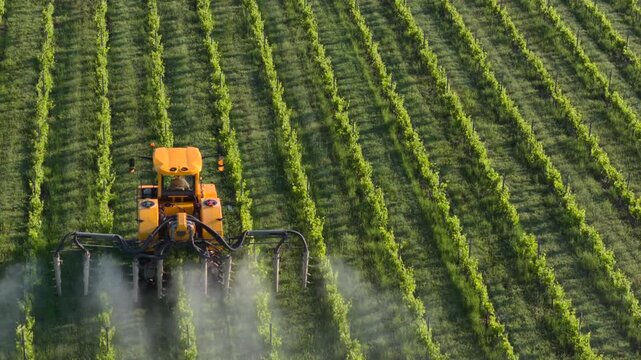 Aerial view of a yellow tractor spraying rows of lush green grapevines in a vineyard in Targon, Nouvelle-Aquitaine, France.