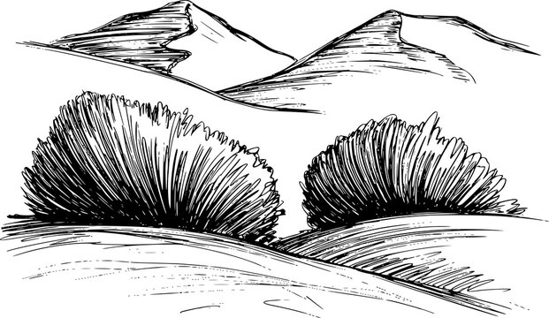 Una imagen con tinta en blanco y negro que presenta dos arbustos grandes en primer plano con monta&ntilde;as detr&aacute;s