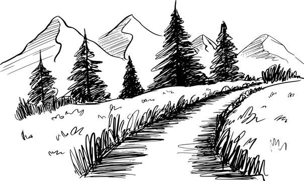 Un dibujo hecho a mano que presenta un camino sinuoso que atraviesa pinos hacia monta&ntilde;as lejanas