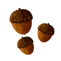 three stylized acorns rendered with textured brown shading and patterned caps  © nita