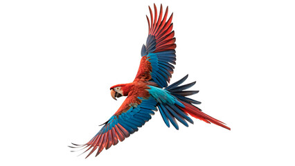 Vibrant scarlet macaw parrot flying with open wings isolated on transparent background © Hanna