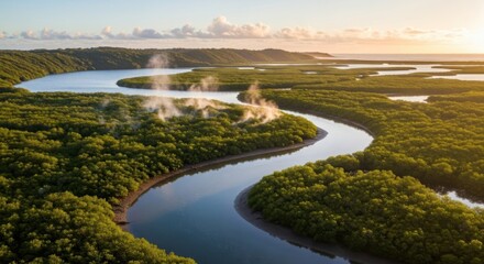 Fototapeta premium Serene River Winding Through Lush Green Mangrove Forest at Sunrise with Evaporating Mist