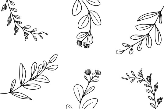 Conjunto de bot&aacute;nicos dibujados a mano con varias hojas y flores peque&ntilde;as en un estilo de l&iacute;nea minimalista