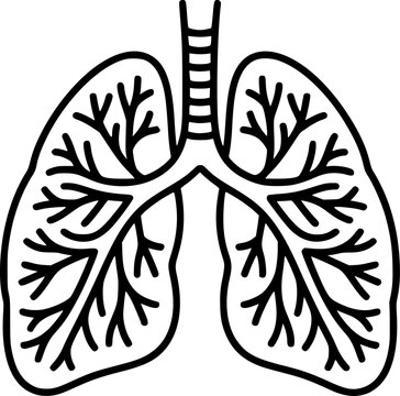 L&iacute;nea simple en blanco y negro de pulmones humanos con estructura de &aacute;rbol bronquial para educaci&oacute;n m&eacute;dica
