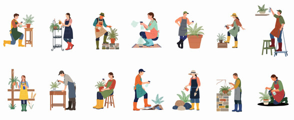 Fototapeta premium Flat vector illustration set of diverse people gardening, watering, and caring for potted ferns and houseplants, isolated on white background.
