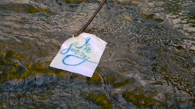 White paper with the message I'm sorry written in blue cursive calligraphy floating away on the gentle current of a shallow, rocky river, symbolizing forgiveness and letting go of regret