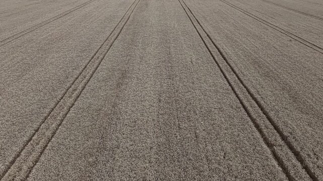 An aerial perspective shows parallel tractor tracks running through a harvested grain field, highlighting industrial agricultural patterns and land cultivation.