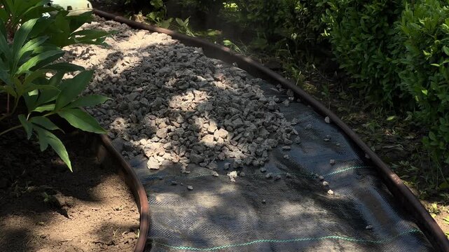 Woman Spreading Gravel on Garden Path Around Peony Flower Bed