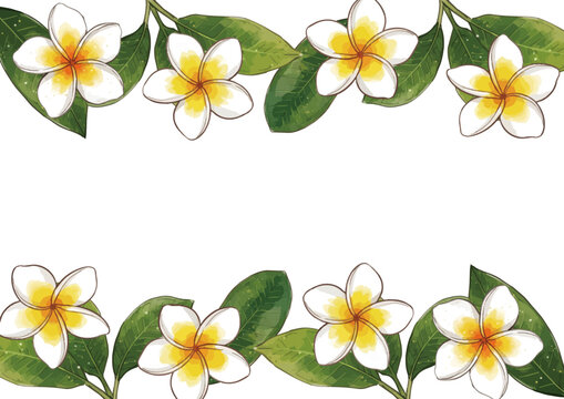 Glossy plumeria flower illustration with fresh tropical petals, vibrant botanical beauty and elegant floral design ／ シズル感のあるプルメリアのイラスト、艶やかな南国の花びらと瑞々しい美しさを表現した華やかなボタニカルイラスト