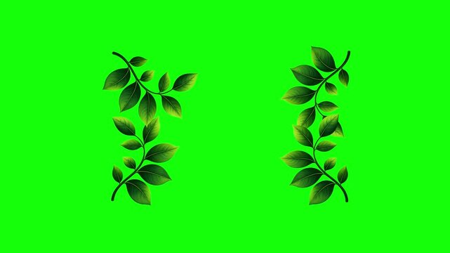 Green and White Screen on Green Screen Background Horizontal 16-9