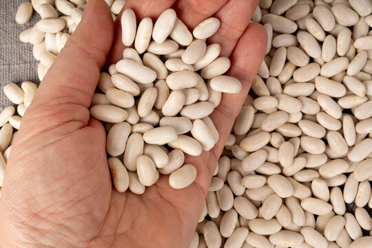 White kidney bean, dry cannellini beans pile